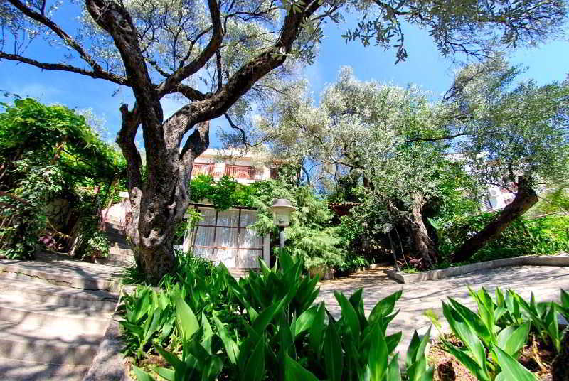 Guest House Elena Sveti Stefan Esterno foto